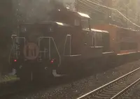 嵯峨野トロッコ列車の写真・動画_image_130857
