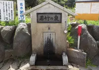 若竹の泉の写真・動画_image_133670