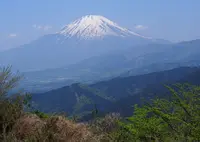 大野山の写真・動画_image_134706