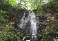 幻の滝の写真・動画_image_163328