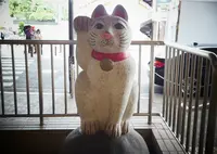 豪徳寺駅の写真・動画_image_193468