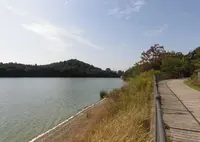 平荘湖の写真・動画_image_345615