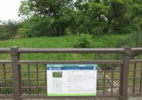 樋の谷古墳の写真・動画_image_581098