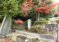 日岡山公園の写真・動画_image_612755
