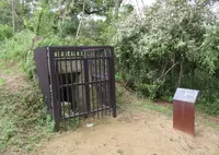 戦争遺跡防空壕の写真・動画_image_673625