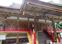 日吉大社 東本宮 本殿の写真・動画_image_771073