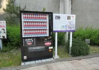 ウィルキンソン自販機の写真・動画_image_775366
