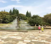 世田谷公園の写真・動画_image_126143