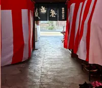 若葉の写真・動画_image_1800909