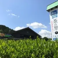 茶の里東白川は岐阜県の山奥にある道の駅