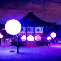 呼応する球体 – 下鴨神社 糺の森 / Resonating Spheres – Forest of Tadasu at Shimogamo Shrine teamLab, 2016, Interactive Installation, Endless, Sound: Hideaki Takahashi