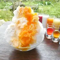 フルーツカクテルかき氷：オレンジ（イメージ）