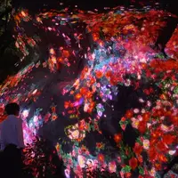 増殖する生命の巨石: https://www.teamlab.art/jp/w/ever-blossoming-stone-life-rock    