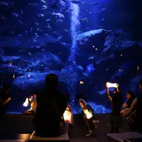ランタンを持って観賞　※過去の開催のようす