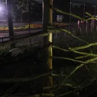ほたるの小径