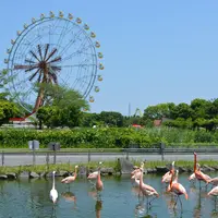東武動物公園