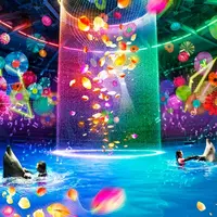 Aqua Pop Party（アクアポップ パーティー）夜のドルフィンパフォーマンス