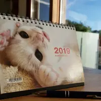 かわいすぎる猫大集合！卓上カレンダー