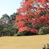 旧堀田正倫庭園（さくら庭園）は無料で観覧できる