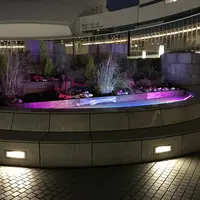 パシフィコ横浜エントランス花壇