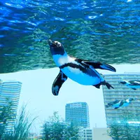 豊島区の街を飛び交うように泳ぐ「天空のペンギン」 イメージ