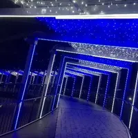 光の回廊Cゾーン：幻想的な光のゲート