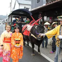 牛車と晴れ着で写真を撮ろう！