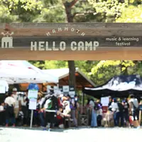 mammoth HELLO CAMP