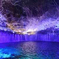 軽井沢 白糸の滝 真冬のライトアップ イメージ