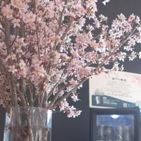 桜の生花