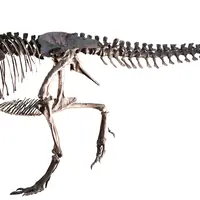 ゴルゴサウルス