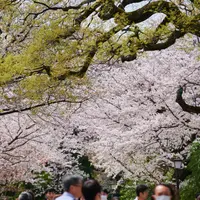 遊就館前の並木道