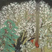 「夜桜」　      1929年、横山大観、大倉集古館蔵 　東京展：5月8日～5月27日　　京都展：6月8日～7月1日