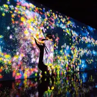 A Whole Year per Hour / Flowers and People, Cannot be Controlled but Live Together – A Whole Year per Hour teamLab, 2015, Interactive Digital Installation, Endless, Sound: Hideaki Takahashi