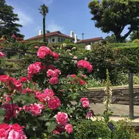 港の見える丘公園「バラとカスケードの庭」