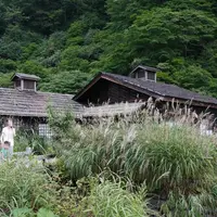 鶴の湯温泉の写真・動画_image_10400