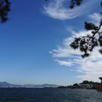 厳島神社の写真・動画_image_10628