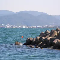 敦賀湾海岸の写真・動画_image_10827