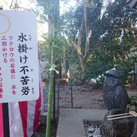 鷲子山上神社の写真・動画_image_111694