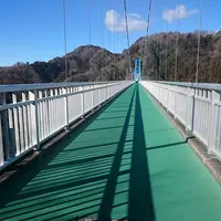 竜神大吊橋の写真・動画_image_111698