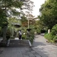 海蔵寺の写真・動画_image_11274