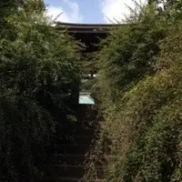 海蔵寺の写真・動画_image_11276