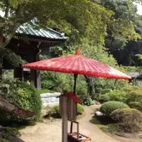 海蔵寺の写真・動画_image_11279