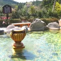 矢板温泉 まことの湯の写真・動画_image_11418