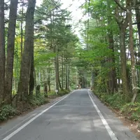 万平ホテルの写真・動画_image_11462
