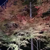 貴船神社の写真・動画_image_11826