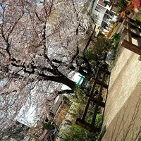 陸上自衛隊練馬駐屯地の写真・動画_image_125872