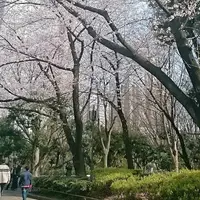 新宿中央公園の写真・動画_image_126994