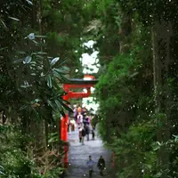 箱根神社の写真・動画_image_127245