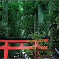 箱根神社の写真・動画_image_127246